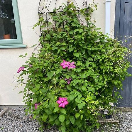 Rural Cosy Retreat For Two Near Port Isaac Lejlighed Delabole Eksteriør billede